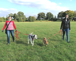 Hundebegegnungen und Social Walk