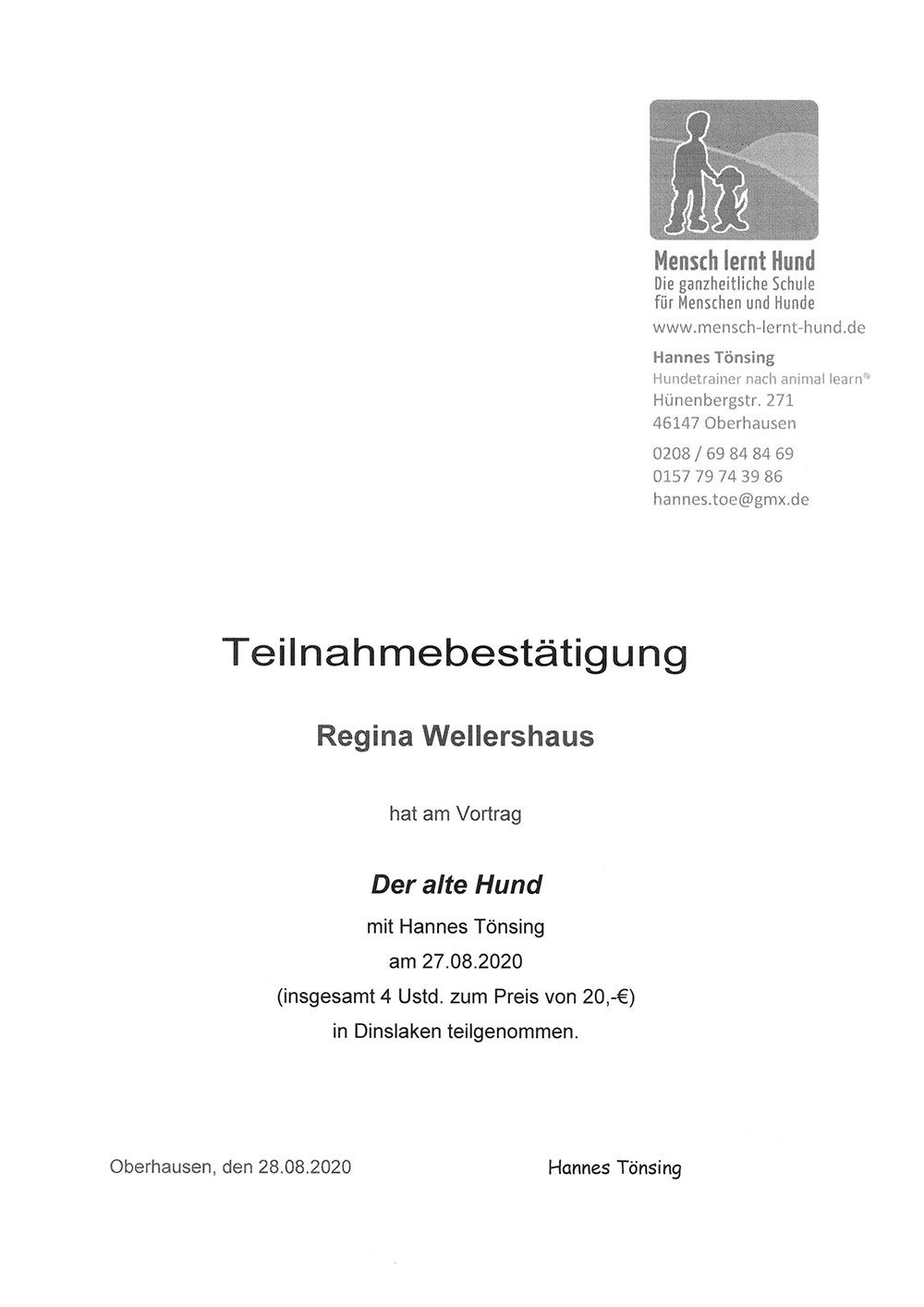 Der alte Hund